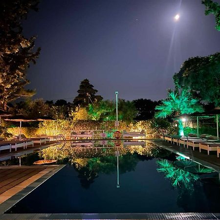Trees Art Hotel Ялисос Екстериор снимка